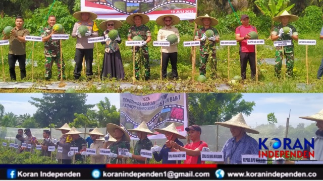 Dandim 0105/Aceh Barat Bersama Forkopimda Panen Cabai dan Semangka Non Biji