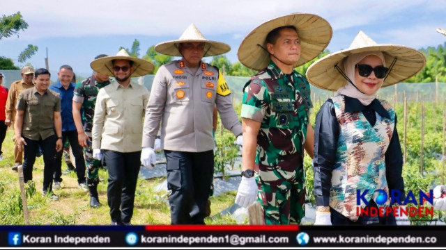 Ketua DPRK Aceh Barat Hadiri Panen Cabai dan Semangka, Apresiasi Program Ketahanan Pangan Kodim 0105/Abar