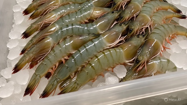 Udang Beku Indonesia Tercemar Cs-137, Pemerintah Lakukan Investigasi Menyeluruh