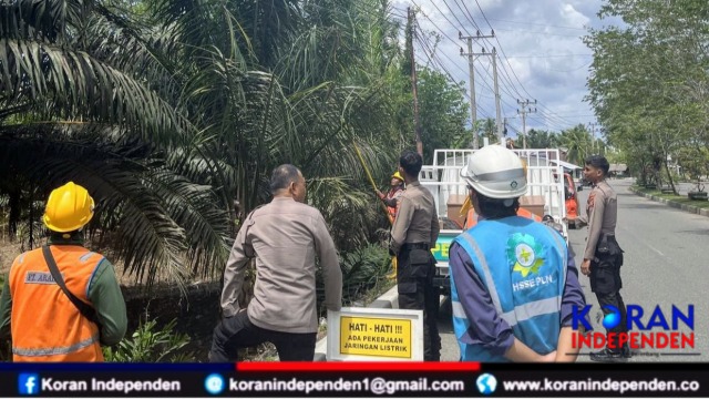Dari Perabasan Pohon hingga Penguatan Jaringan, PLN Jeuram dan Polres Nagan Raya Kompak Terangi Negeri