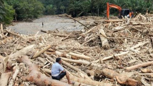 Si Dungu dan Si Baik Hati: Refleksi Banjir Sumatera dan Dosa Ekologis Bangsa