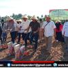 Dukung Ketahanan Pangan, Polres Aceh Barat Gelar Penanaman Jagung Serentak di Gampong Meutulang