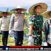 Ketua DPRK Aceh Barat Hadiri Panen Cabai dan Semangka, Apresiasi Program Ketahanan Pangan Kodim 0105/Abar