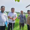 Kemenag dan BPN Aceh Utara Ukur Tanah Wakaf di Muara Batu, Percepat Sertifikasi Aset Umat